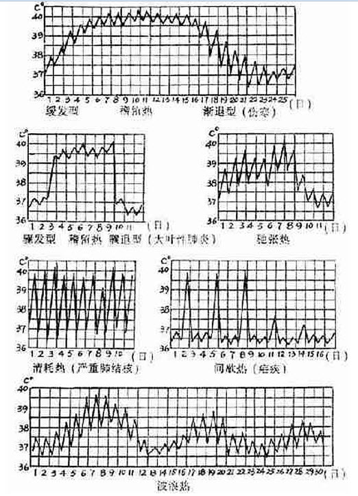 > 呼吸内科学(医学高级)